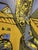 The nude alludes to human existence, while the turtle represents nature and the fauna living in harmonious coexistence;...
