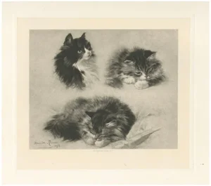 Henriette Ronner, Three Studies of a Kitten: Cats and Kittens, 1894, Print