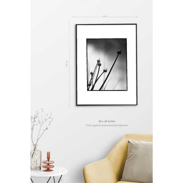 Fine art Giclee prints on Hahnemuhle Photo Rag 308gsm - a 100% cotton, acid-free, mould-made paper. Printed to Fine Art...