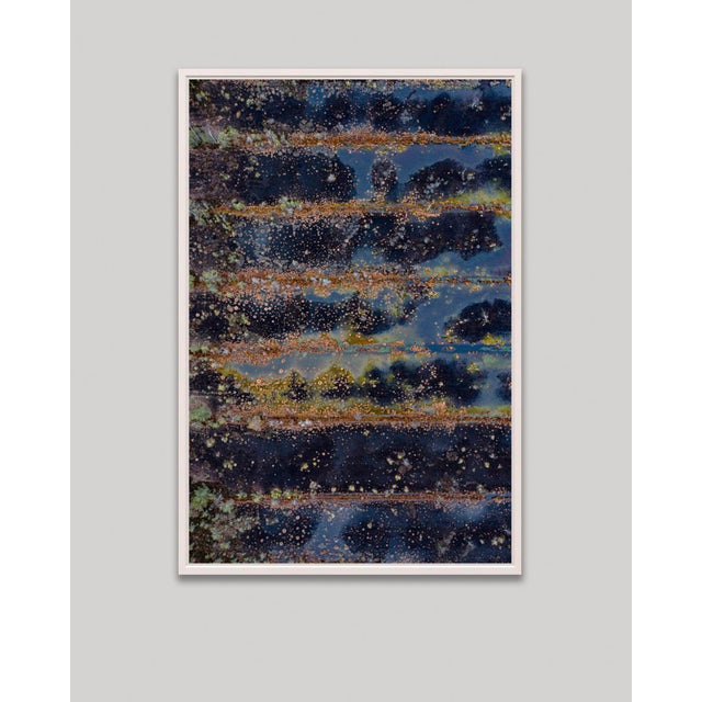 "The_Bog_Renatured_001" Contemporary Limited Edition Fine Art Photograph Print by Bernhard Lang For Sale - Image 4 of 7