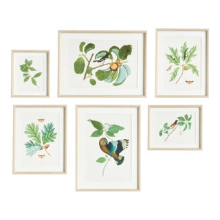 Wildlife Gallery St/6 For Sale