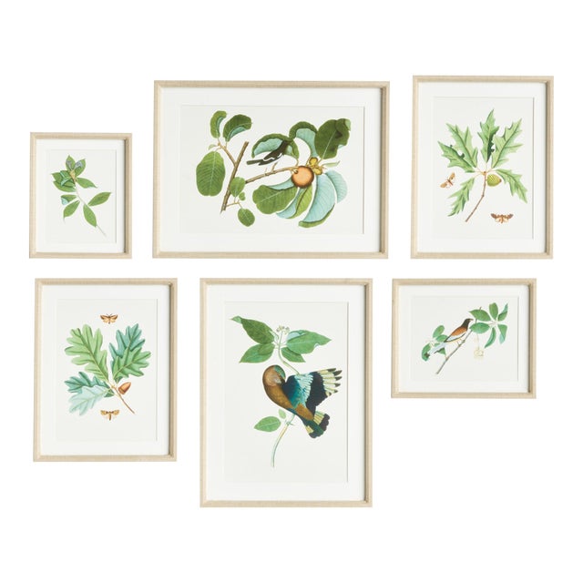 Wildlife Gallery St/6 For Sale
