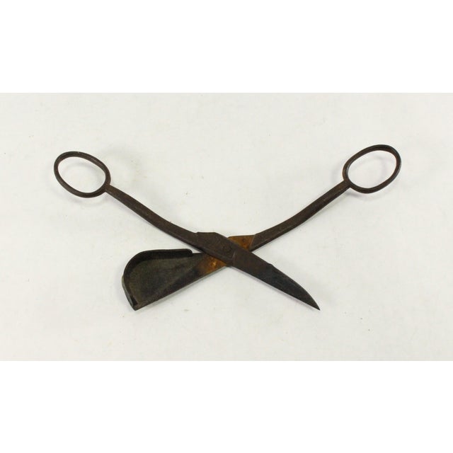 Brown Rare 18th / 19th C. Wrought Iron Candle Wick Trimmer, Not Snuffer For Sale - Image 8 of 12