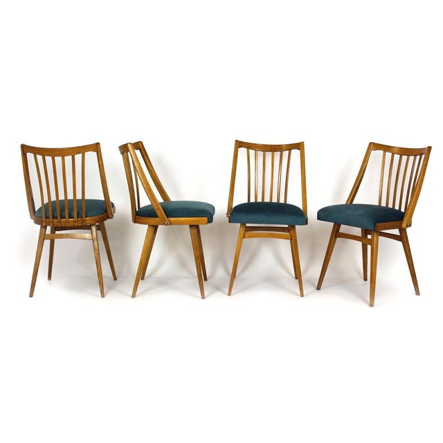 Mid-Century Modern Oak Dining Chairs from Interier Praha, 1960s, Set of 4 For Sale - Image 3 of 18