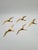 Vintage Wall Decorations Seagulls in Gold Brass, Norway, 1970s, Set of 5 For Sale - Image 3 of 7