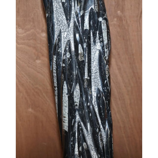 Large Fossilized Orthoceras Marble Finish Statues, Set of 2 For Sale - Image 10 of 18