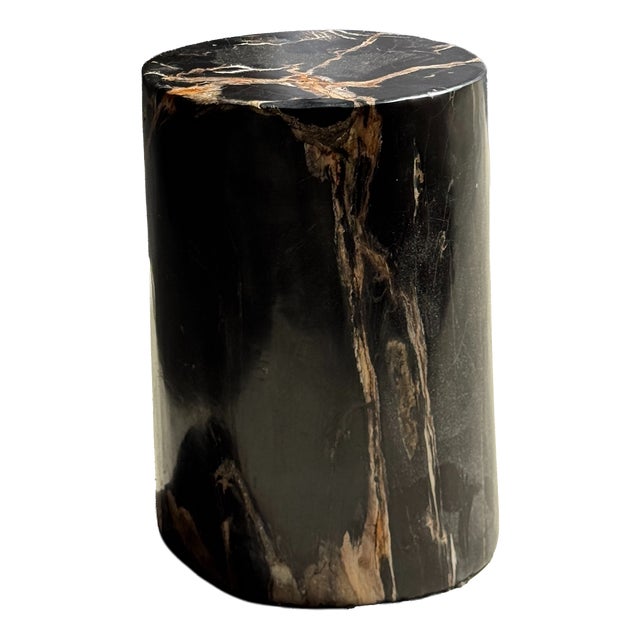 Side Table in Black Petrified Wood with Beige Star Pattern For Sale