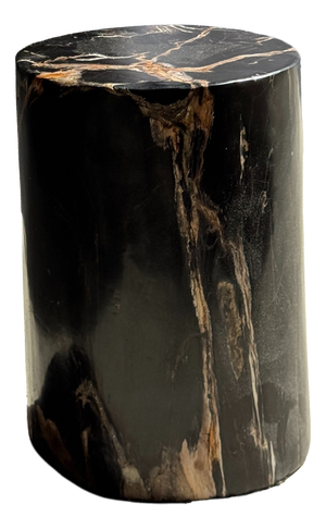 Side Table in Black Petrified Wood with Beige Star Pattern