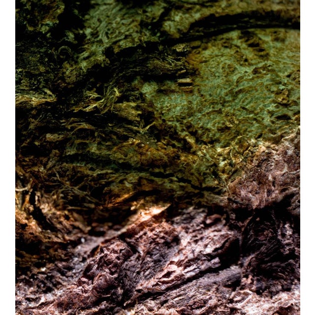 Marko Milić, Mythical Beast, Abstract Photography For Sale - Image 4 of 6