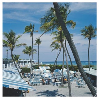 Slim Aarons, Florida Palms, 1978 For Sale
