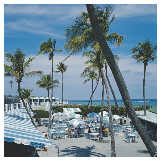 Slim Aarons, Florida Palms, 1978 For Sale