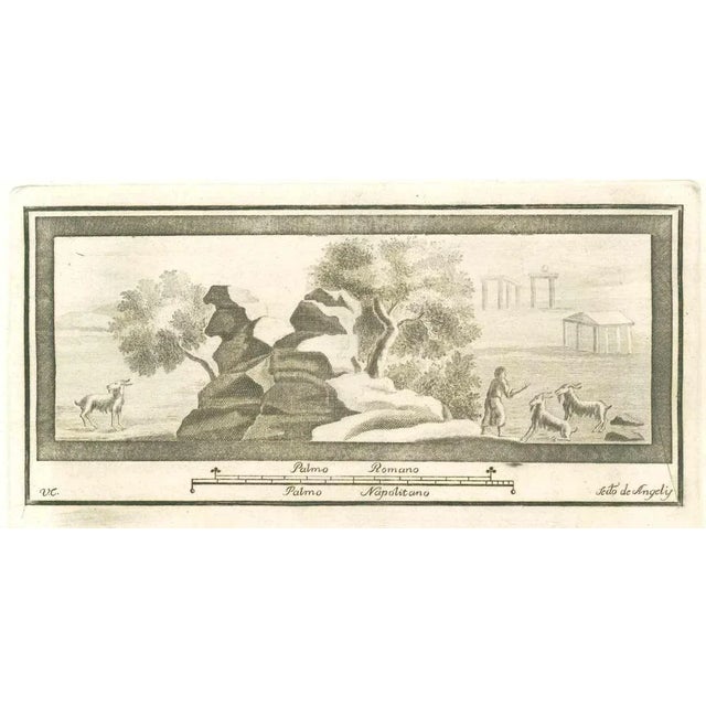 Fresco from "Antiquities of Herculaneum" is an etching on paper realized by Vincenzo Campana in the 18th Century. Signed...