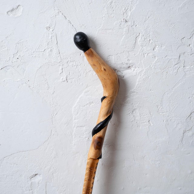 Willis Hakim Jones Walking Stick, 2010s For Sale - Image 9 of 12