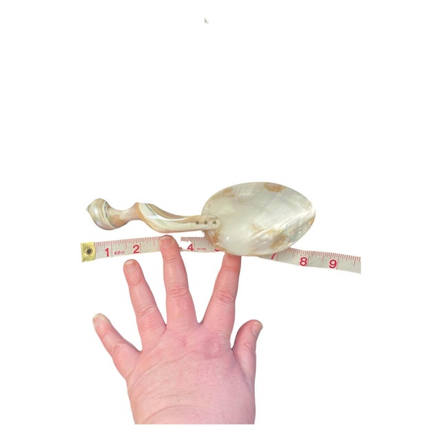 White 20th Century Organic Sculptural Mother-of-Pearl Shell Caviar Serving Spoon For Sale - Image 8 of 9