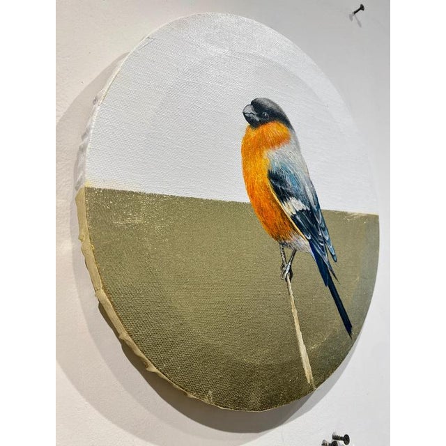 Anastasia Gklava, Eurasian Bullfinch, Orange & Black Bird Composition, Painting with Gold Leaf on Round Canvas, 2025 For Sale - Image 11 of 18