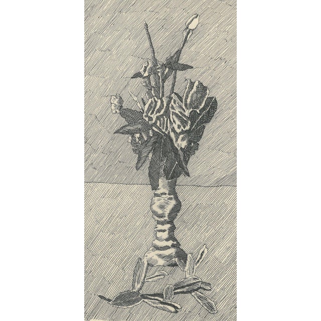 Giorgio Morandi, Roses in Bud in a Vase, 1931-1957, Lithograph For Sale - Image 4 of 7