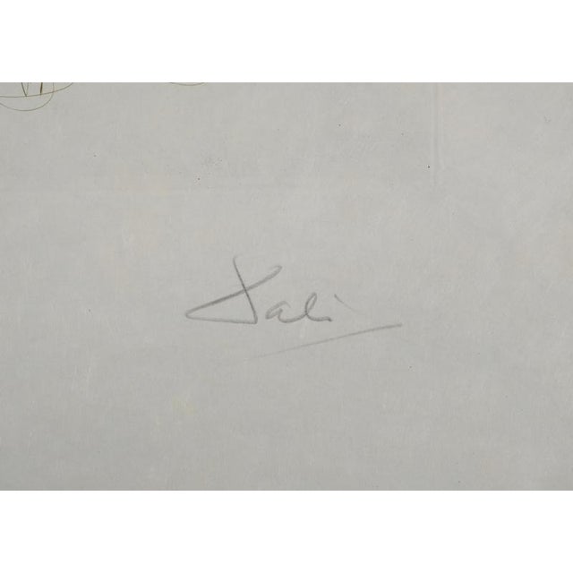 Salvador dali (1904-1989) brother ogrin, the hermit, 1970 original engraving (rigal workshop) signed in pencil numbered...