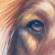 Brown David Coalburn Original Oil Painting Golden Retriever Portrait “Eyes of Christy” For Sale - Image 8 of 12