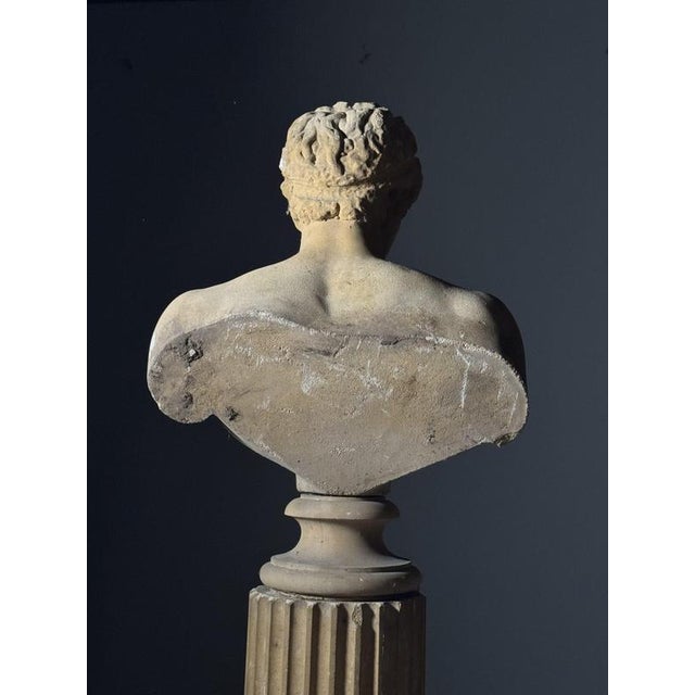 Unknown, Antinous Bust on pedestal, 20th Century, Stone For Sale - Image 17 of 18