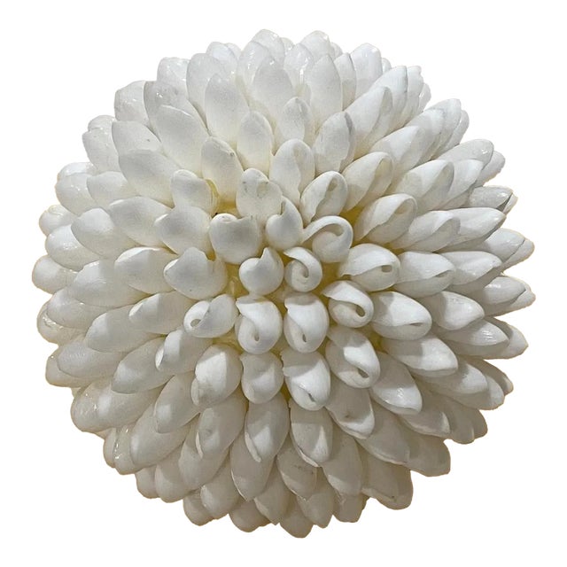 1997 Sea Shell Decorative Ball, White For Sale