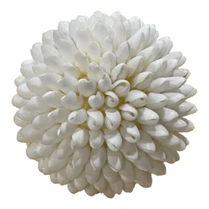 1997 Sea Shell Decorative Ball, White