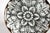 Piero Fornasetti Rosoni Pattern Porcelain Plates, Set of Six Circa 1960s For Sale - Image 17 of 17