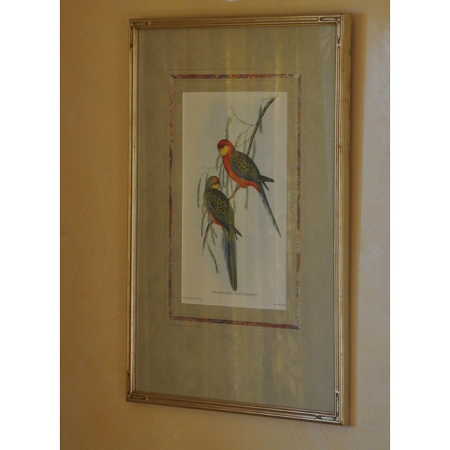 An exceptional original nineteenth-century hand-colored lithograph by renowned British ornithologist and publisher John...