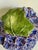 1970s 1970s Italian Sculptural Hydrangea Ceramic Tureen With Leaf Ladle For Sale - Image 5 of 12
