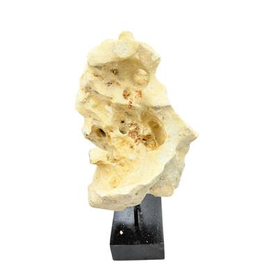 Natural coral stone from Indonesia with a sandy hue, displayed on a handcrafted teak stand. Its organic texture and warm...