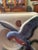 Royal Copley Blue Bird Vase Planter For Sale - Image 11 of 12