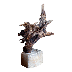 Wabi Sabi Root Wood Sculpture