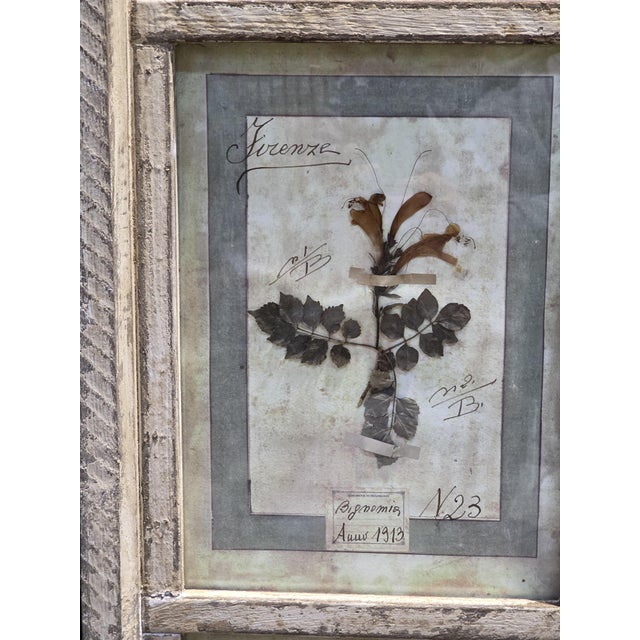 Beige Decorative Panel with Framed Botanical Composition, 1920s For Sale - Image 8 of 14