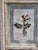 Beige Decorative Panel with Framed Botanical Composition, 1920s For Sale - Image 8 of 14