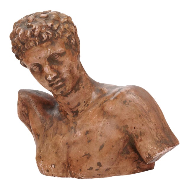 Terracotta Vintage French Hermes Bust For Sale