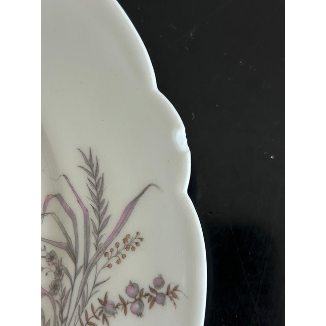 Porcelain Plates and Platter by Ch Pillivuyt & Cie, 1890s, Set of 8 For Sale - Image 14 of 17