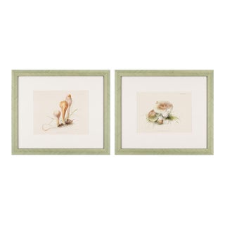 Pair of Colored Prints of Mushrooms by Anna Maria Hussey, 1847 For Sale