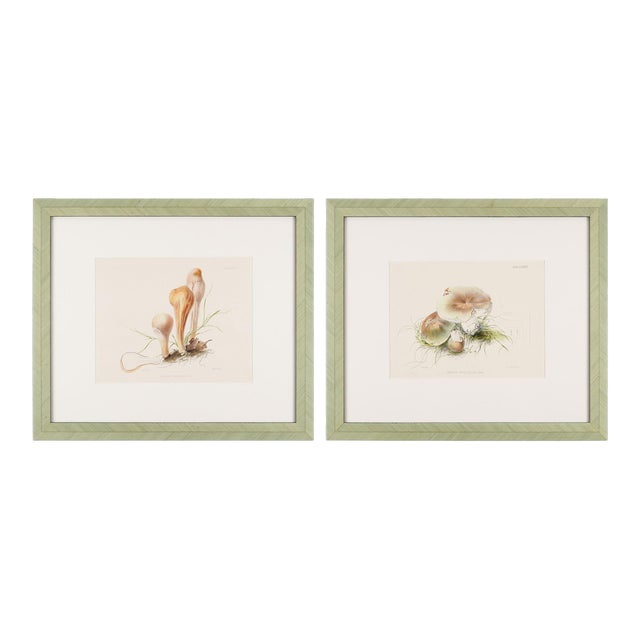 Pair of Colored Prints of Mushrooms by Anna Maria Hussey, 1847 For Sale