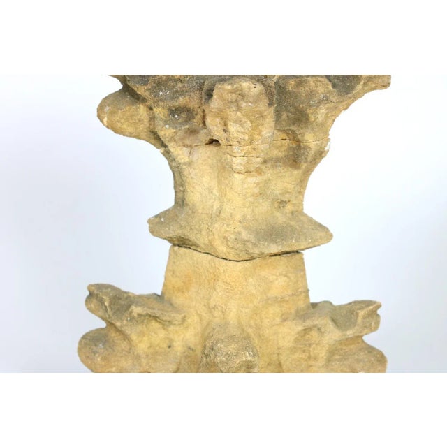 Early 18th Century Carved Limestone Architectural Element For Sale - Image 11 of 12