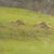 Eugenio Spreafico, Glimpse of Lombard Countryside, Oil Painting on Canvas For Sale - Image 4 of 8