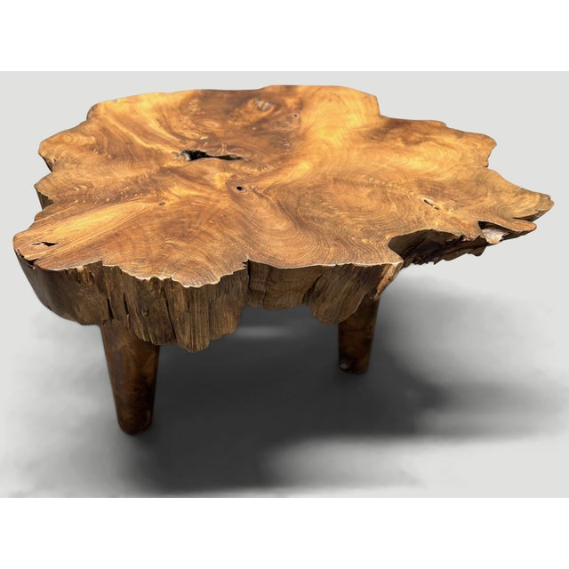 Wood Andrianna Shamaris Mid Century Style Live Edge Coffee Table For Sale - Image 7 of 18