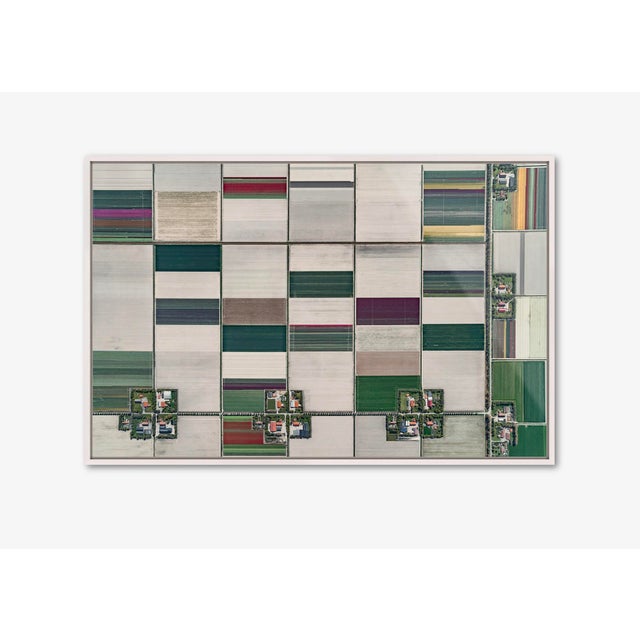 "AV_Tulip_Fields_001" Contemporary Limited Edition Fine Art Photograph Print by Bernhard Lang For Sale - Image 6 of 12