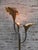 Vintage Italian Calla Lily Floor Lamp, 1970s For Sale - Image 18 of 18