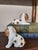 Vintage Ceramic Cocker Spaniel Dogs Pup Pair Figurines For Sale In Fayetteville, AR - Image 6 of 6