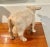 Wonderful Vintage Cow Sculpture Standing 9” High X 15” Long For Sale - Image 4 of 8