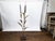Tall French Mid 20th Century Cattail Sculpture Mounted on a Black Base For Sale - Image 4 of 10