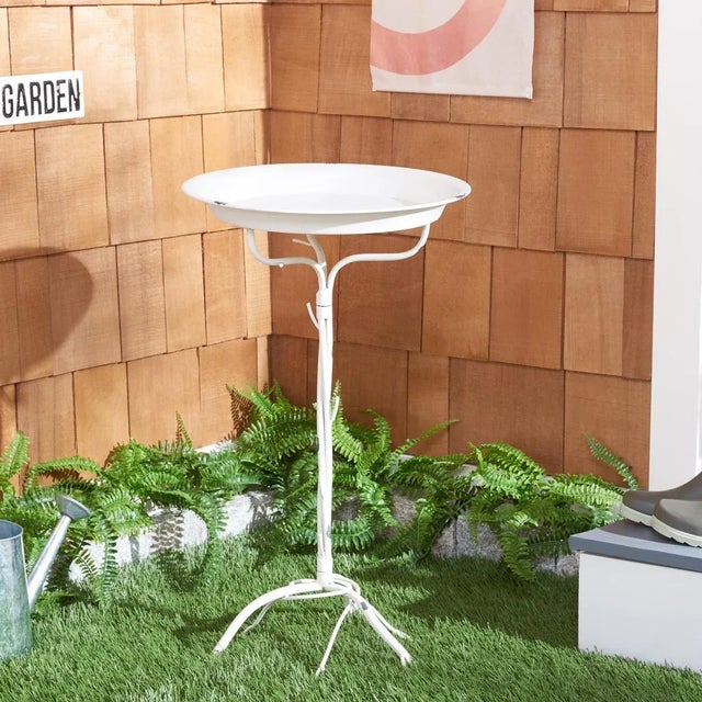 Enjoy the chirping of birds and a relaxing atmosphere outdoors with our Nigel bird bath. Crafted with iron, our...