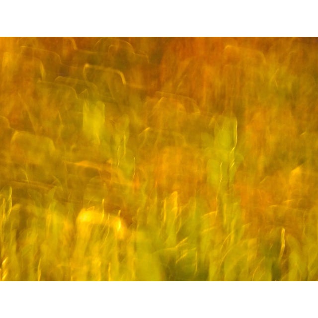 This large 40" x 30" abstract photographic print is by designer/artist/photographer Joseph Fountain, created in 2015.The...