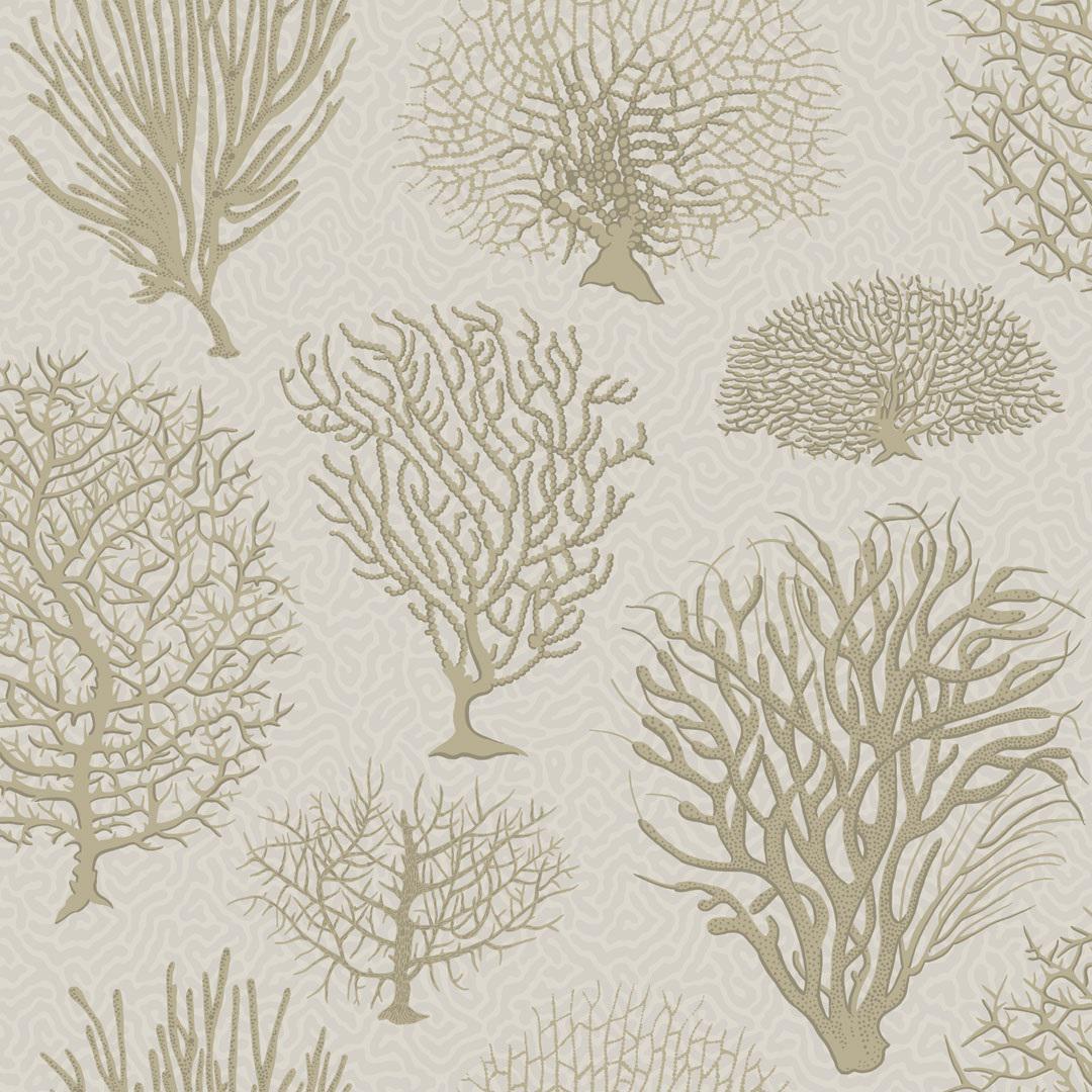 Cole & Son Seafern Curio Classic Wallpaper 11 Yards Chairish