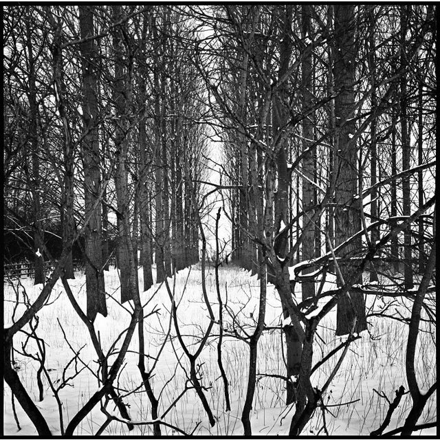 Fine art Giclee prints on Hahnemuhle Photo Rag 308gsm - a 100% cotton, acid-free, mould-made paper. Printed to Fine Art...