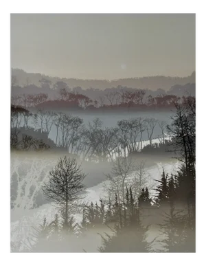 Virgil Trasher, River Mist